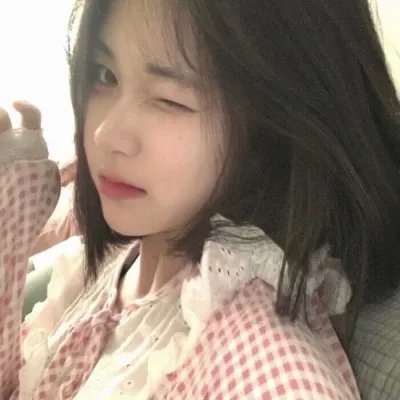 双生赤狐