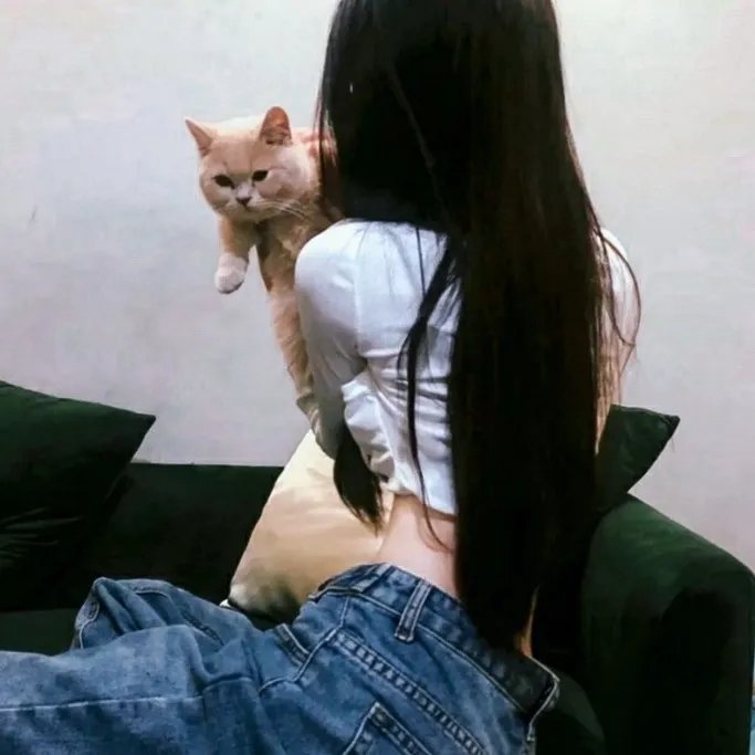 直男正传